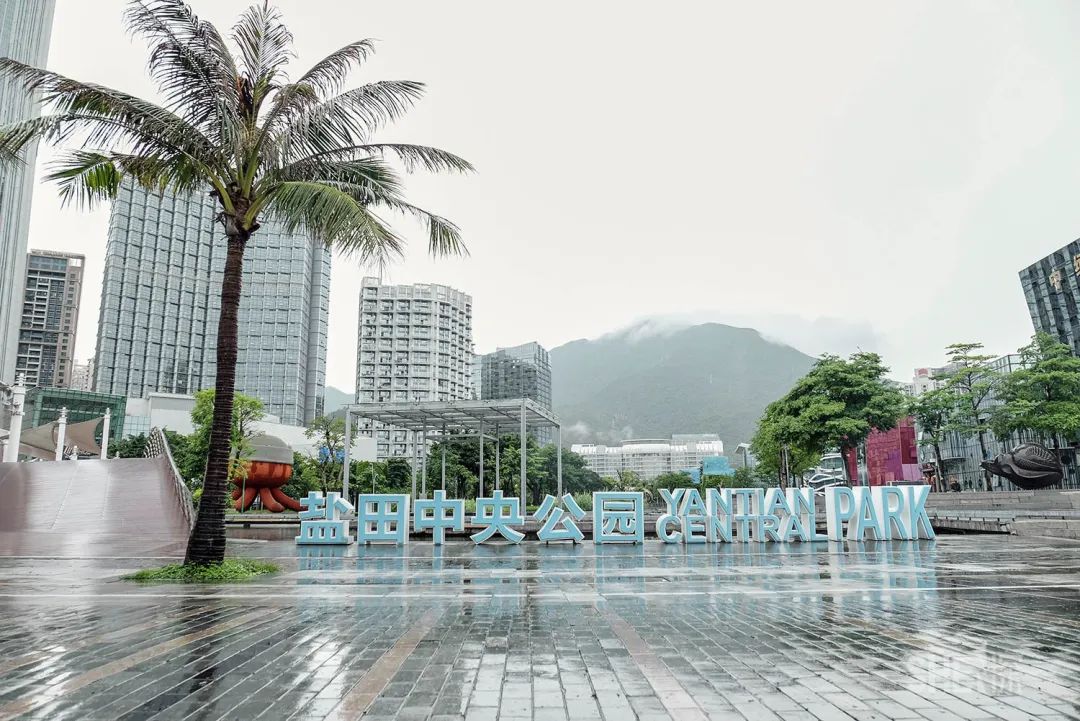 深圳疫情过后的商业街景,疫情过后深圳哪个商场最好