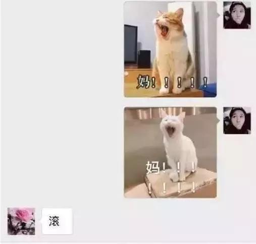 “妈,我是顺产吗?”“你是泼妇产”哈哈哈哈哈哈哈哈哈