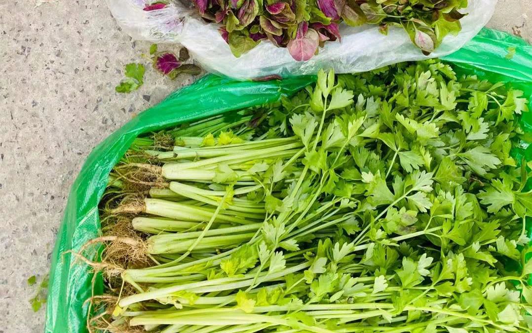 菜市小趣（社会扫描）