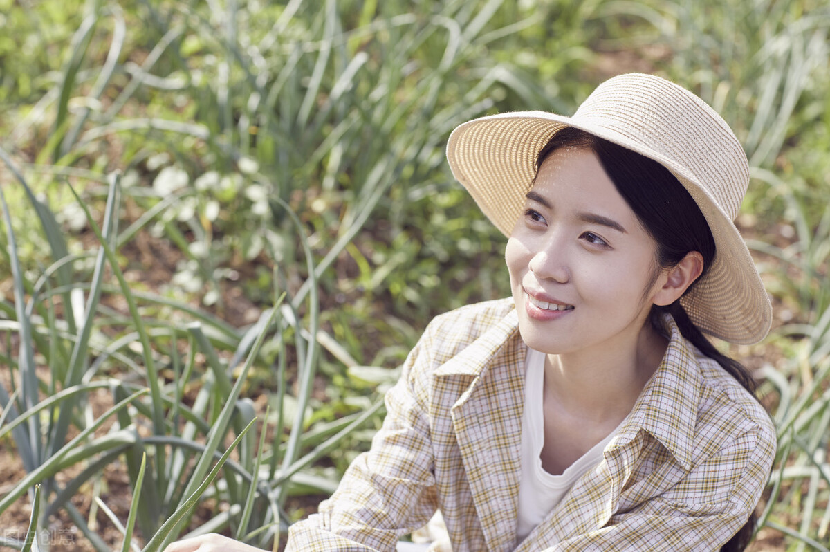 红薯种植时间和方法和步骤,红薯怎么种才是正确