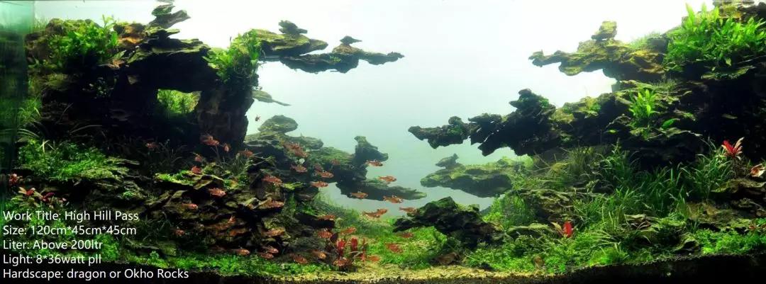 草缸造景教程：胶水造景太温柔，男人就该上电钻