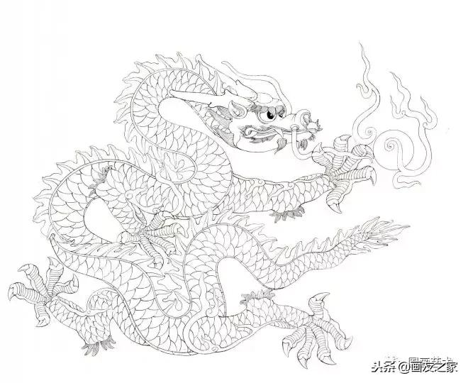 李晓明工笔《龙》步骤图文教程
