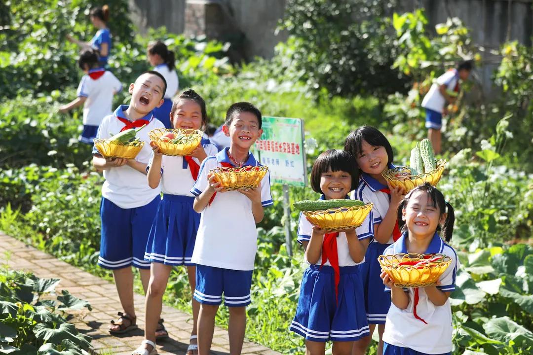 花儿朵朵向阳开幼儿园,花儿朵朵向阳开幼儿律动完整版