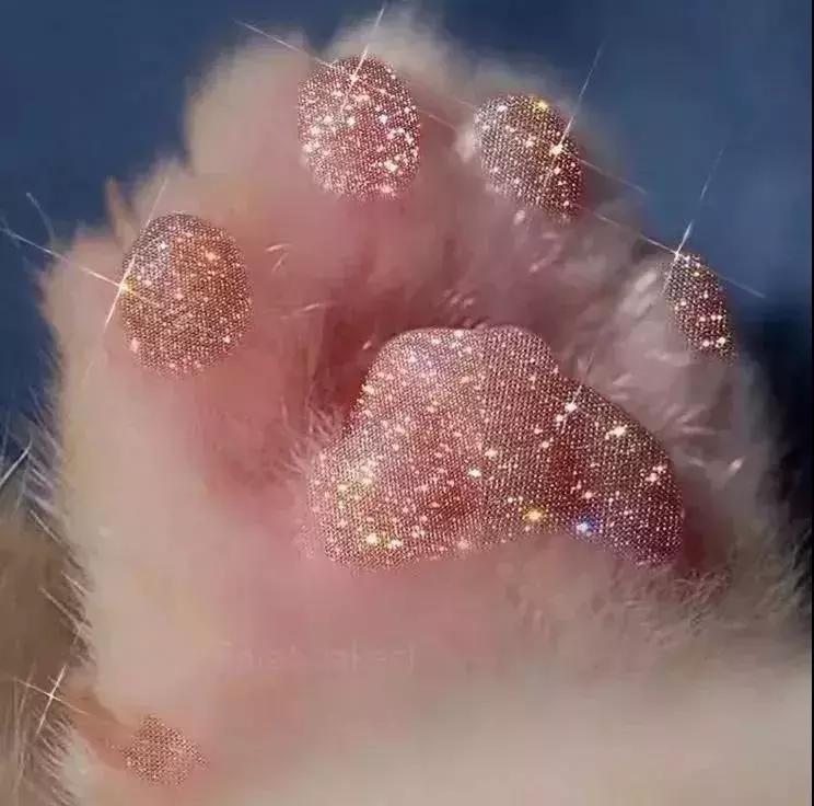 镶满钻石的飞机多少元,钻石补钻需要多少钱