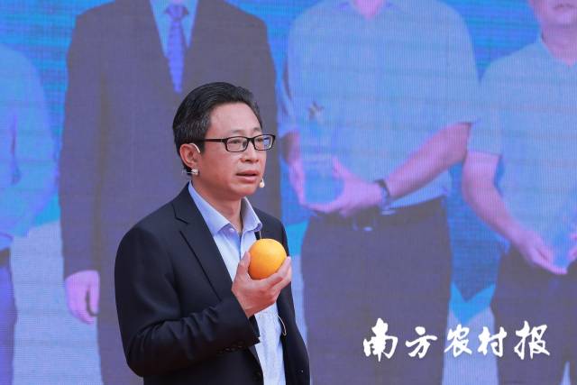 赣南脐橙故事生动视频,脐橙产业发展故事