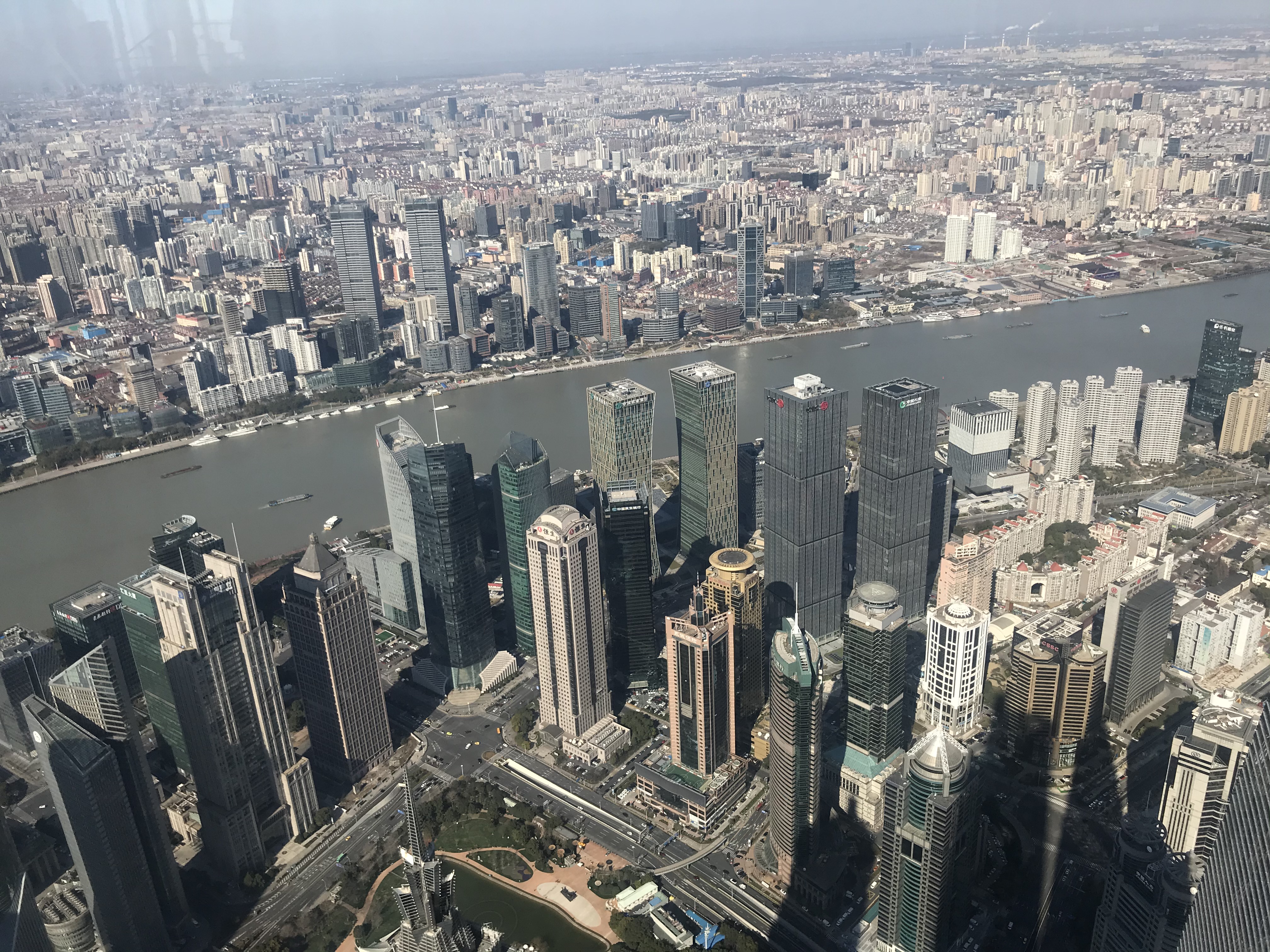 上海的春天视频,上海的春天美景