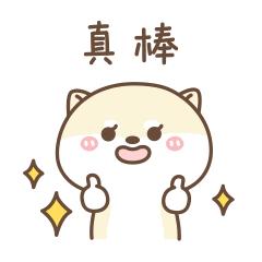 肇庆市首位“国际造口治疗师”!市中医院陈梓珊:用爱扶伤的微笑天使