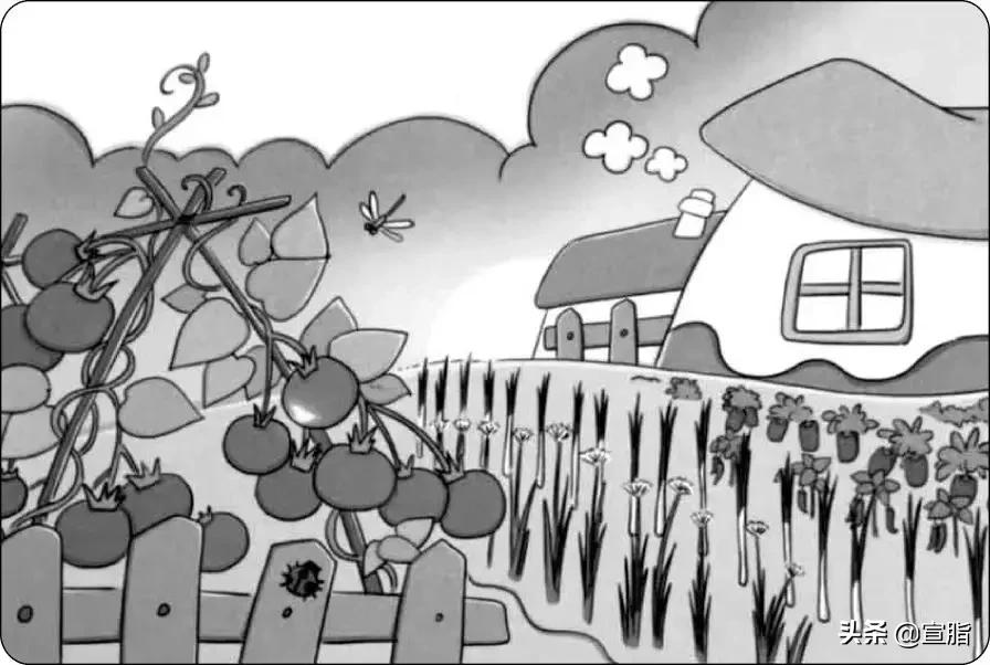 部编版小学语文1-6年级作文归纳,部编6年级作文大全范文