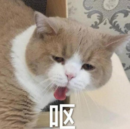 恋爱后的男生有多粘人,恋爱后的男生有多可爱