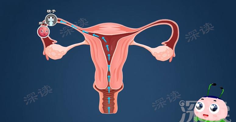 没有白带下腹痛会是附件炎吗,小腹胀痛有白带有妇科炎症吗