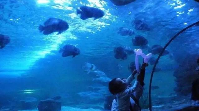 小梅沙海洋世界游玩要买票吗,小梅沙海洋世界套票2021