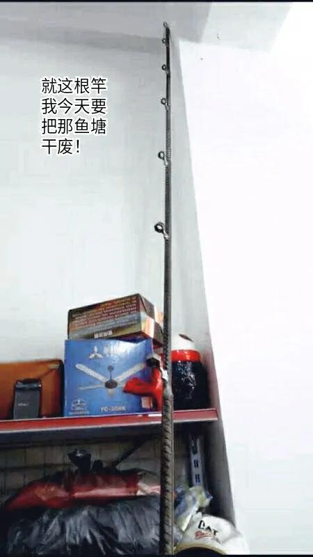 新手入坑鱼竿怎么选择最好,新手钓友应该入手哪种鱼竿