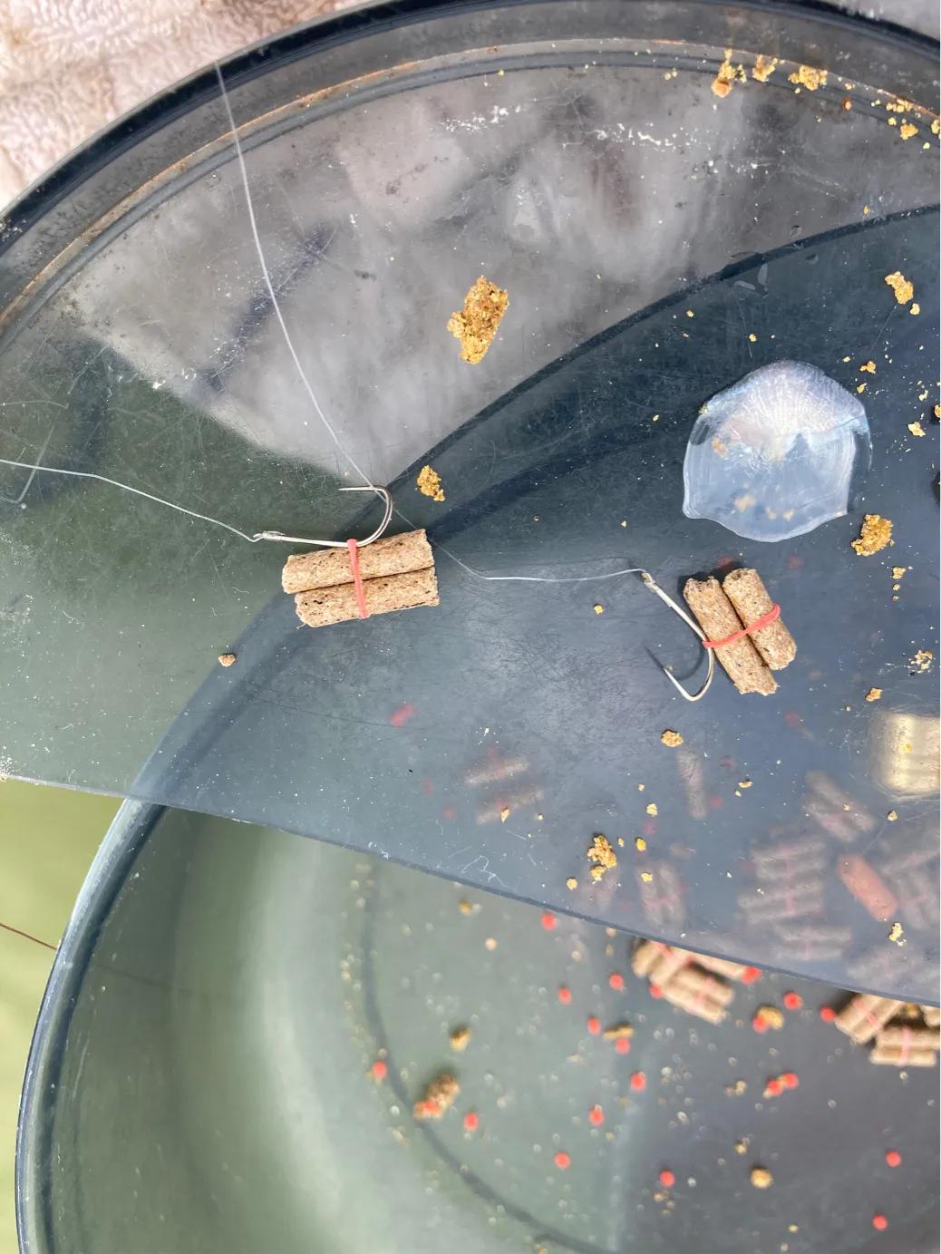 钓鱼防脱技巧 (自测钓鱼技巧和方法)