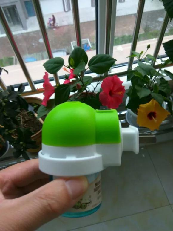 水养花怎么杀虫最快,三角梅生虫自制杀虫水