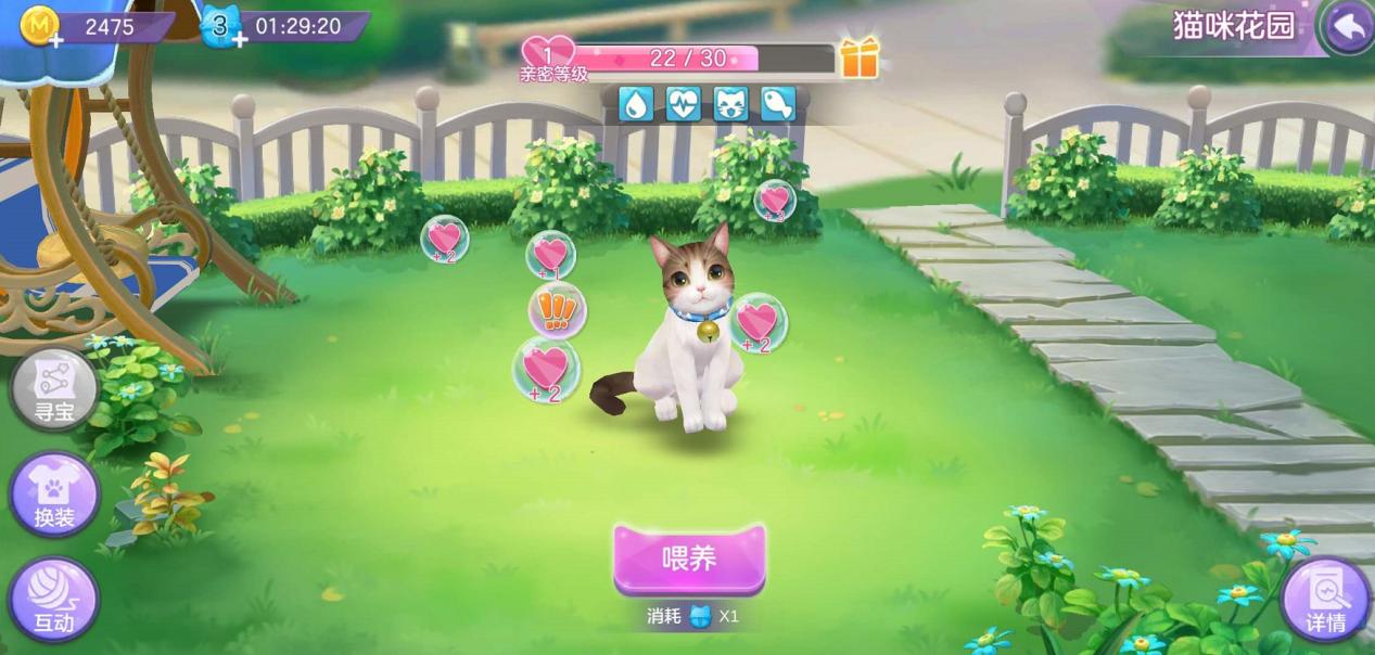 哪些是你养猫之后才知道的事？《喵与筑》云养猫开启温馨之旅