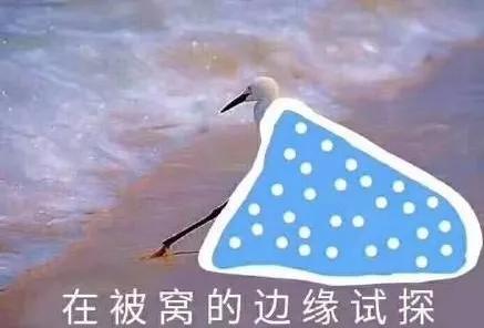 别争了，四川人内定了2021这个第一！