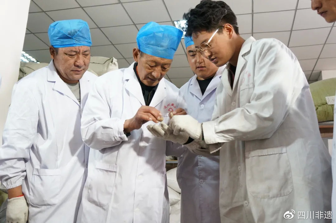 南派藏医药的默默坚守者——格桑尼玛