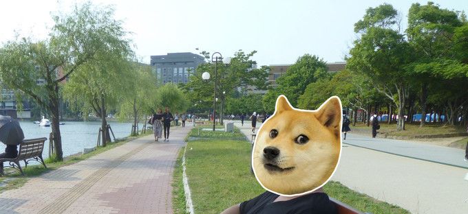 邮轮歌诗达号旅行,邮轮歌诗达赛琳娜号