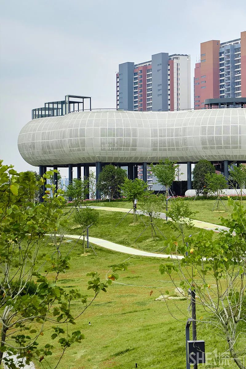 深圳龙华公园对外开放了吗,深圳市龙华新开的公园