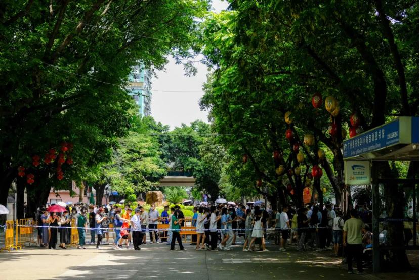 观察病毒需借助什么显微镜,观察病毒必须借助什么显微镜