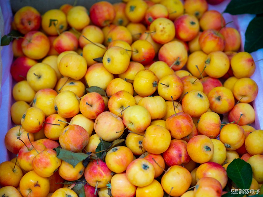 奥林巴斯e-m1markiii深度体验报告,m43卡口是ef吗