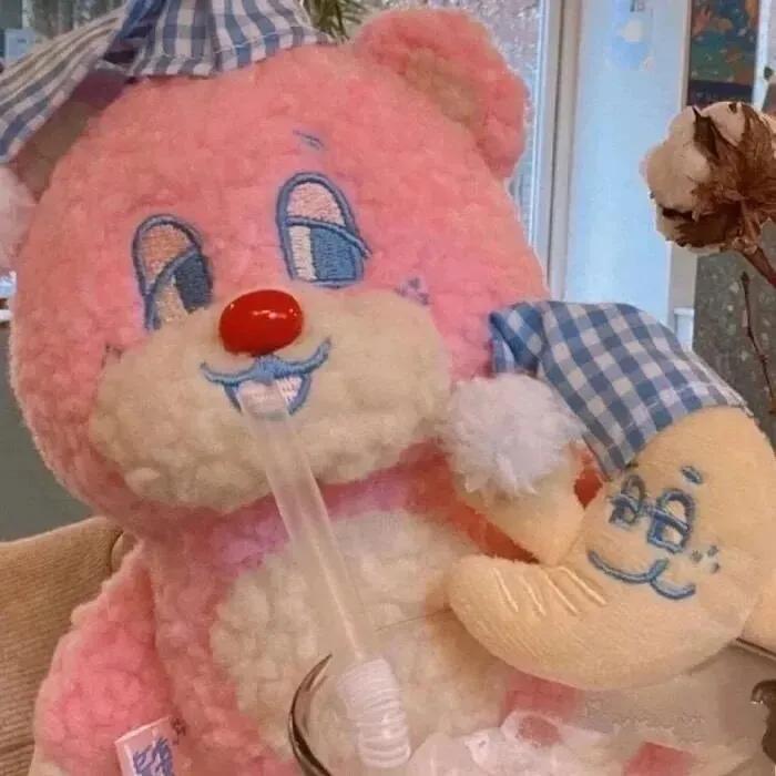 布偶头像图片大全,可爱布偶头像