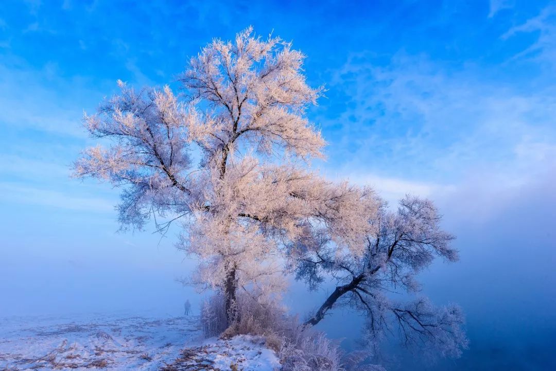 最好看的雾凇,为什么吉林的雾凇最知名