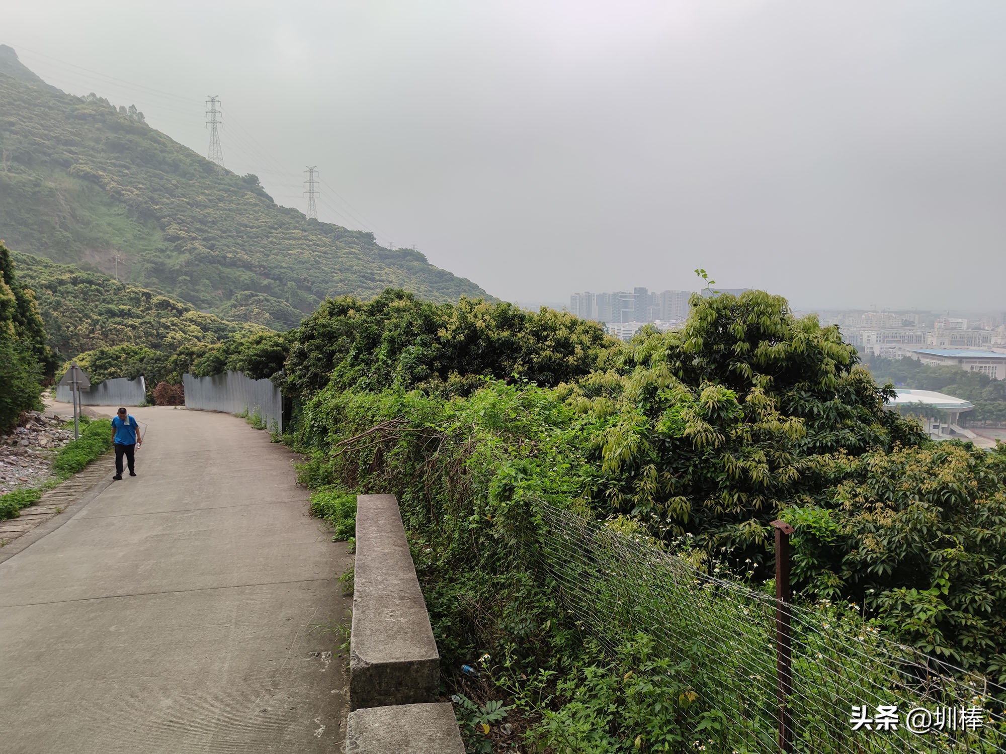 深圳最长的海岸线爬山攻略,凤凰山适合老人孩子的爬山攻略