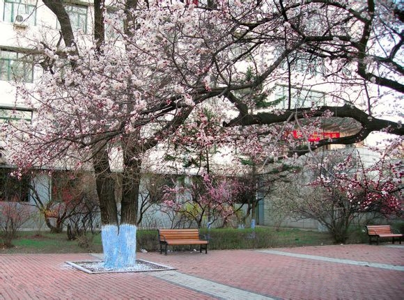 每日一校——哈尔滨理工大学