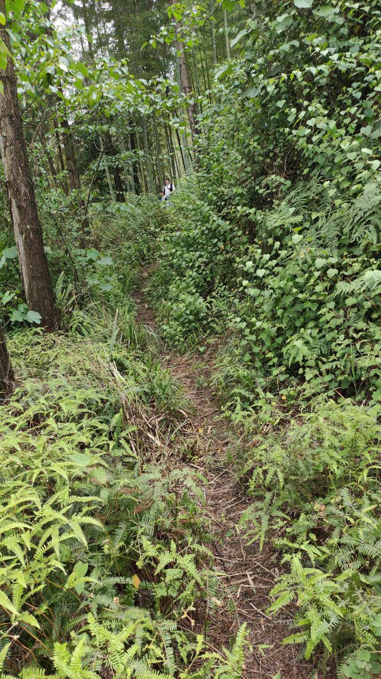 长沙水库钓鱼条件最好的地方,长沙哪里好钓鱼攻略