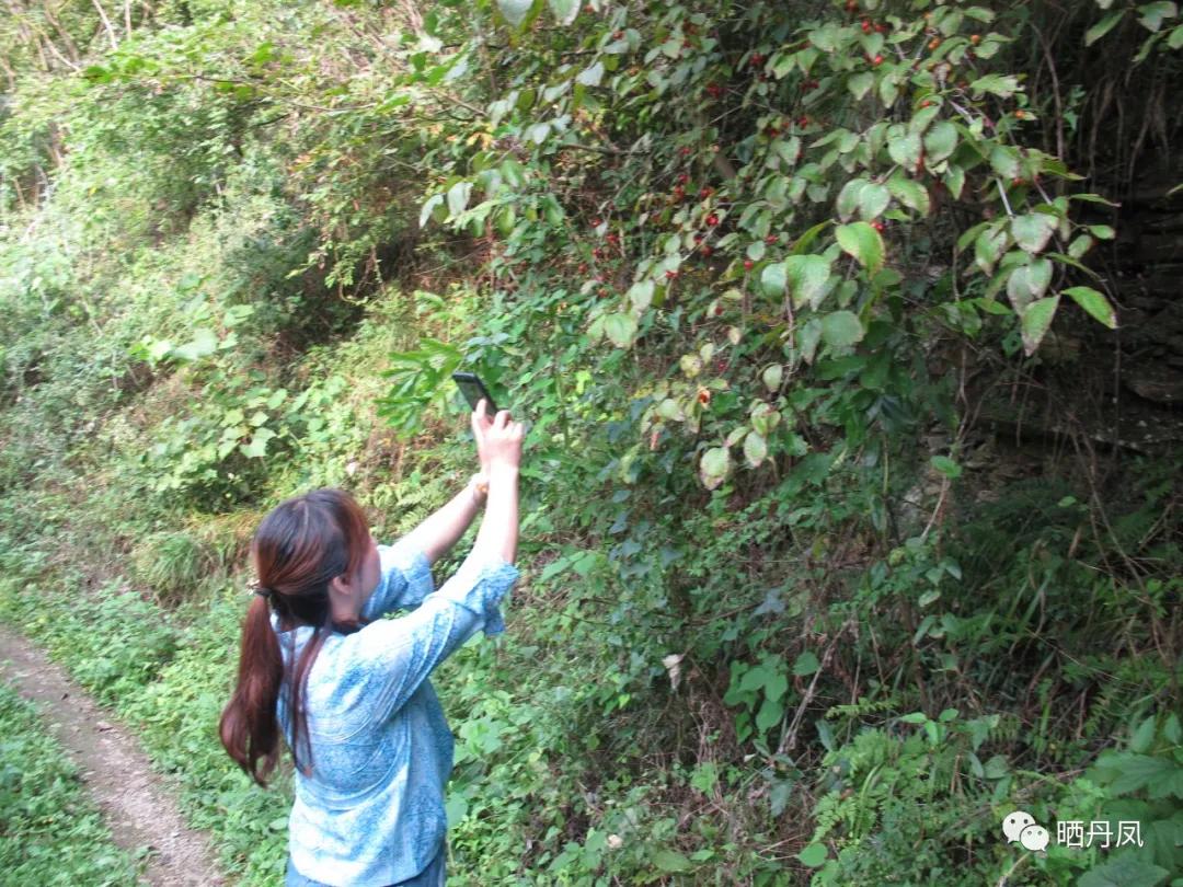 柯玲：琵琶沟，我的老家