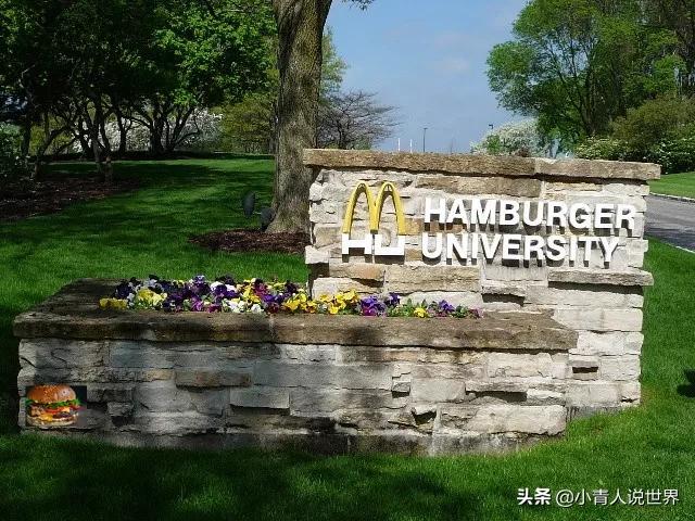 麦当劳兄弟最终为何离开麦当劳,麦当劳兄弟现在怎么样了