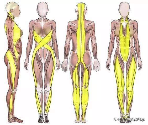 练瑜伽为什么要脚趾张开,练瑜伽为什么要练呼吸