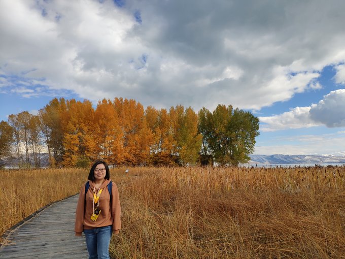 自驾游美国西雅图攻略,从西雅图到洛杉矶自驾游攻略