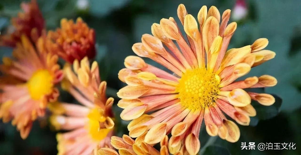 人从出生到死亡的变化,人从生到死几个阶段