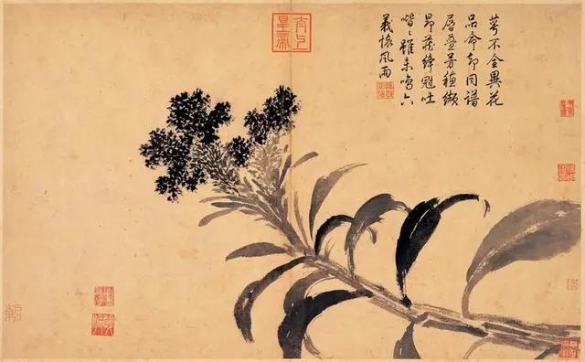 简述国画基础写意花鸟的绘画技法,细说国画中的34种技法