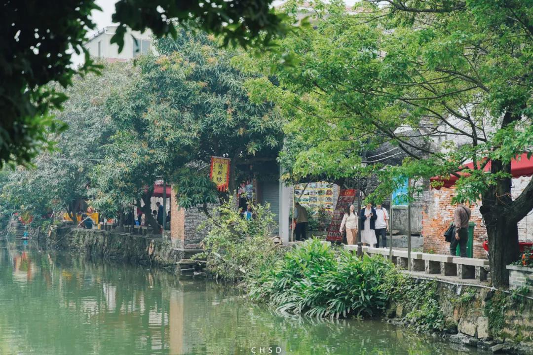 顺德杏坛逢简水乡景区,顺德小周庄之称的逢简水乡