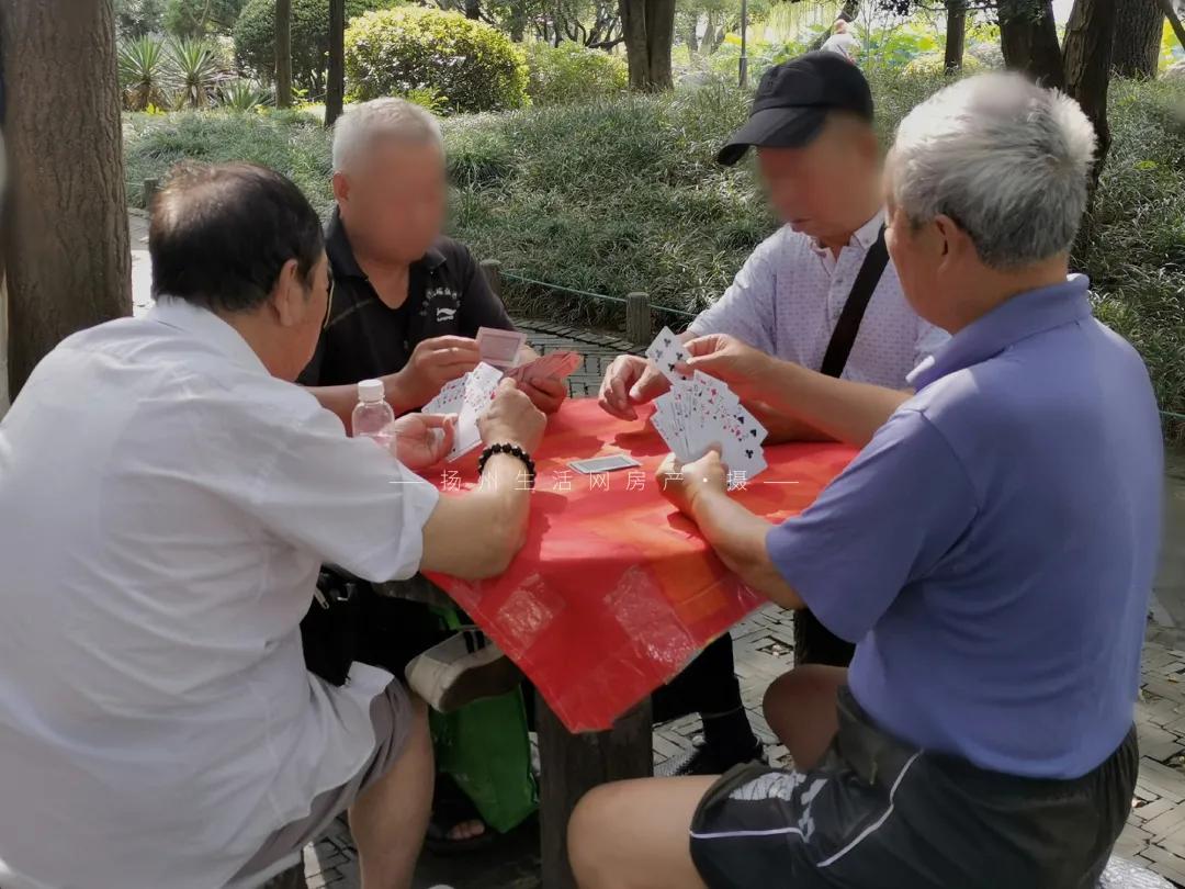 扬州的老城区有什么好玩的,老城区新增商业