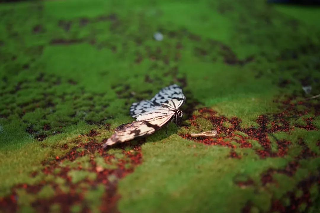 占地30000㎡！这艘建在安华汇天台上的巨船，竟是亲子乐园