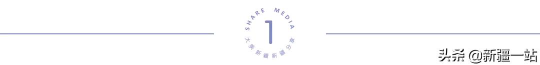 疆新域酸奶,新款新疆伊犁酸奶