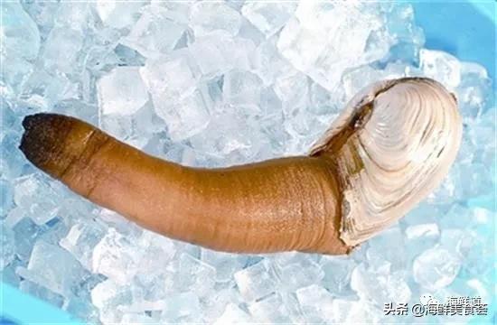 好吃不贵的海鲜种类有哪些,最好吃又最常见海鲜有几种