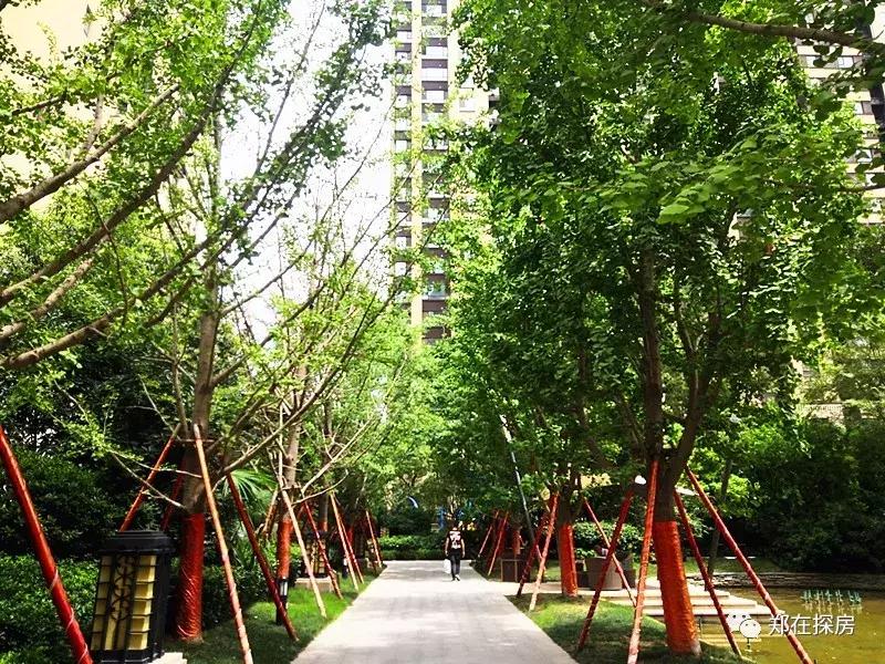 康桥再别康桥,康桥再会吧与再别康桥的区别