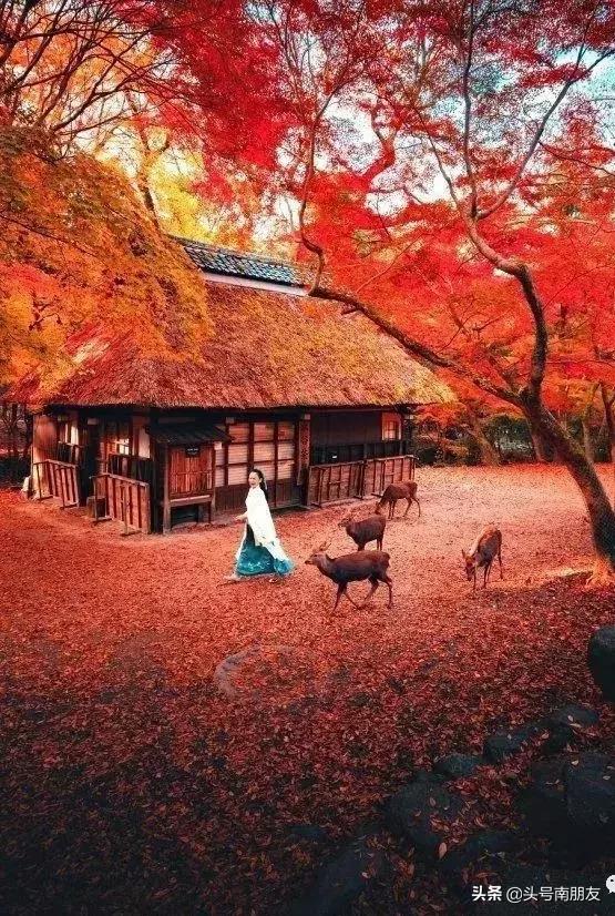 周杰伦说好一起去旅行,周杰伦说好不哭影响力