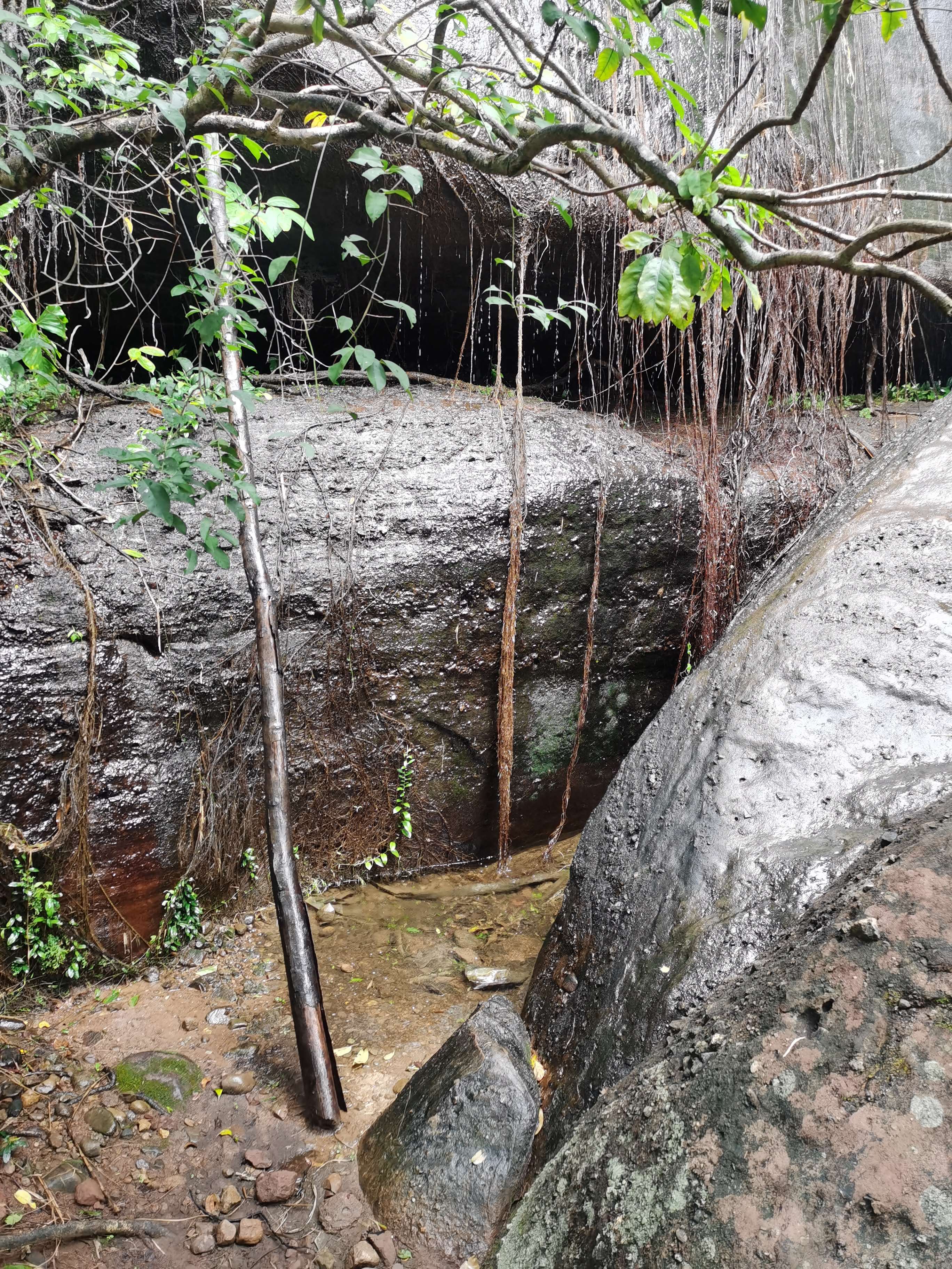 叮当猫还玩81式吗,叮当猫还玩率土之滨吗