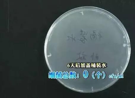 纯净水细菌总数标准,纯净水细菌含量高吗