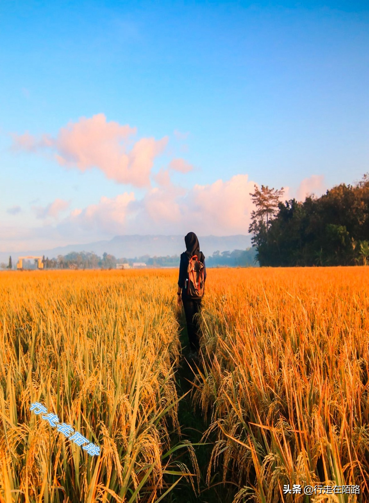 没有存在感的小国,生活成本最低的几个亚洲国家