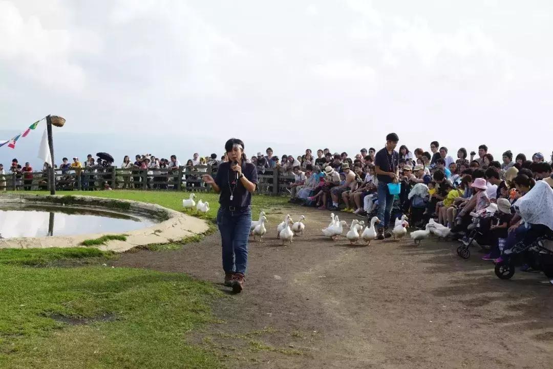 日本顶级农业农场,日本田园农场排行榜