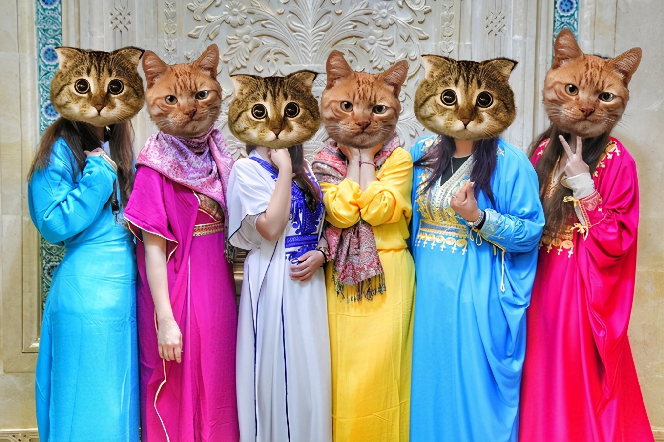 突尼斯｜一个微笑，一句“salam”，我为你动容（1）