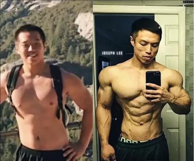 练人鱼线马甲线和鲨鱼肌,鲨鱼线人鱼线马甲线