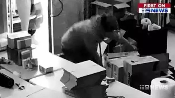 coles鍏ㄨ剛鐗涘ザ浠ｈ喘,coles婢虫床鐗涘ザ